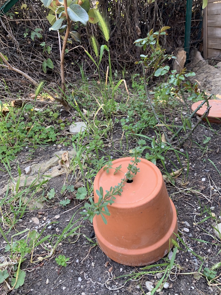 Annexe 0E670908-B02B-4C96-A3B3-7CE25C58D021_1_105_c.jpeg