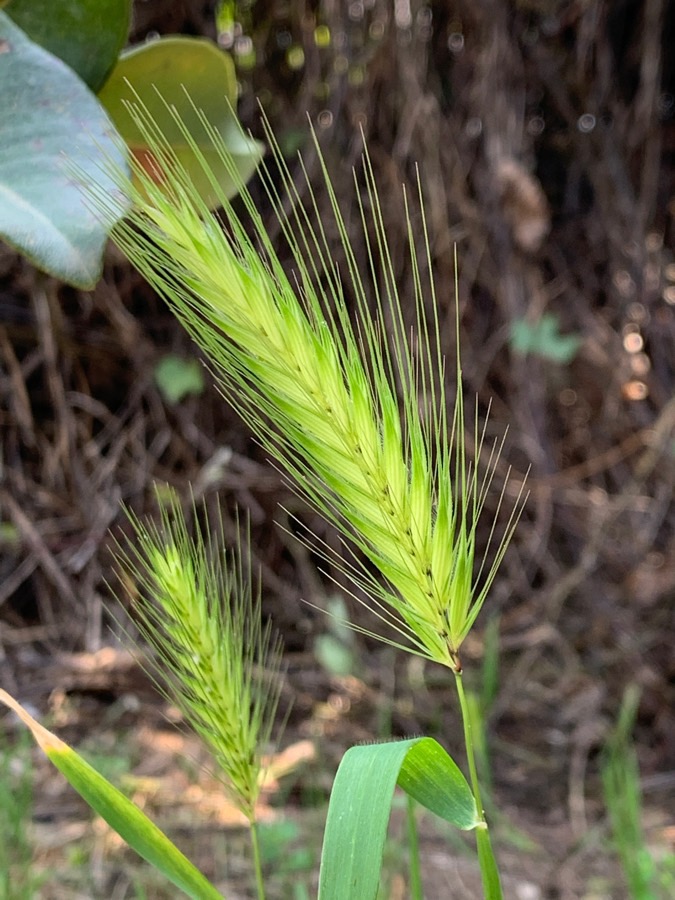 Annexe 7BC89CD1-F2EA-4EF9-B6F3-E0FDC1EB8D22.jpeg