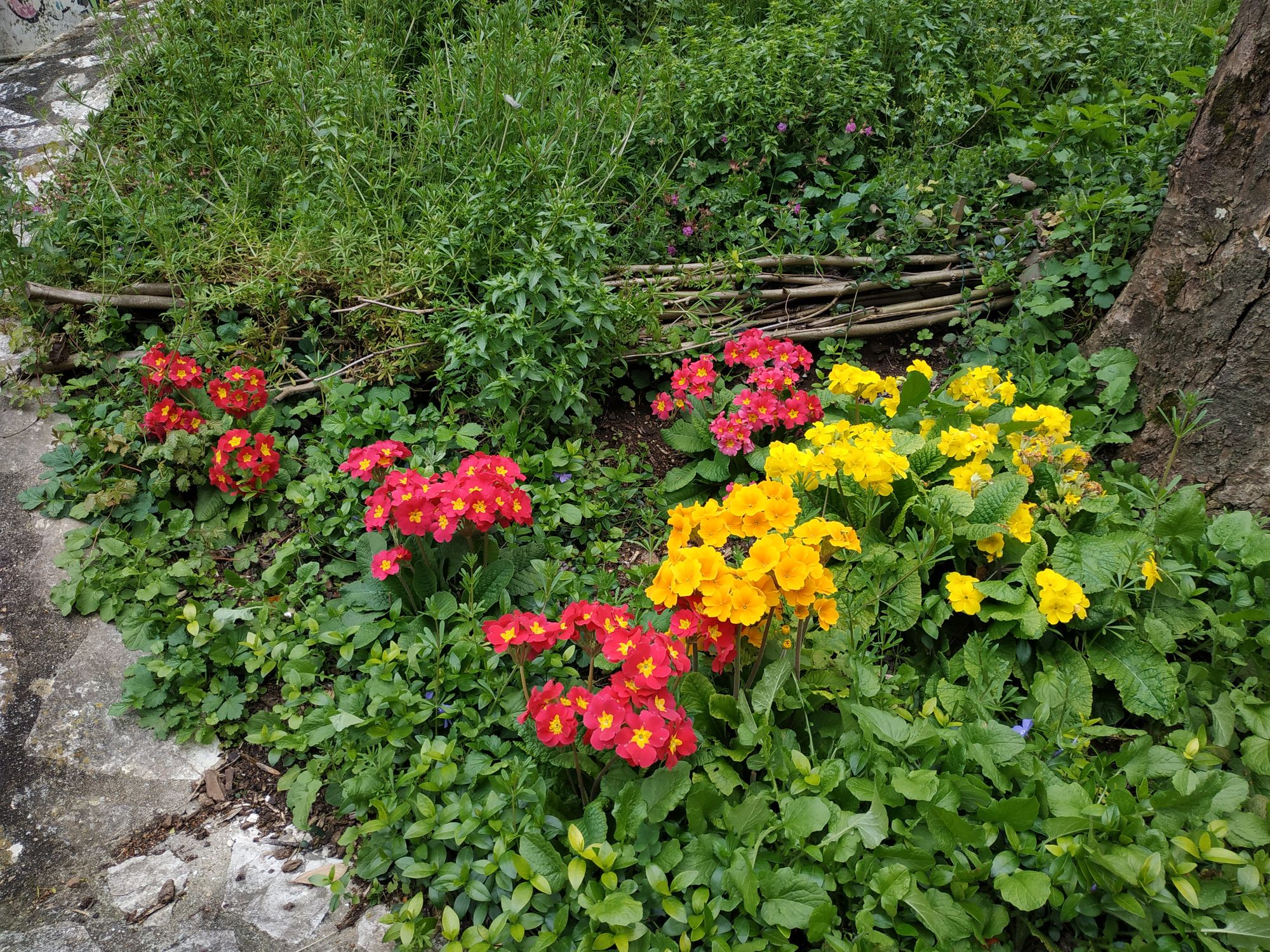 Annexe Fleurs diverses.jpg