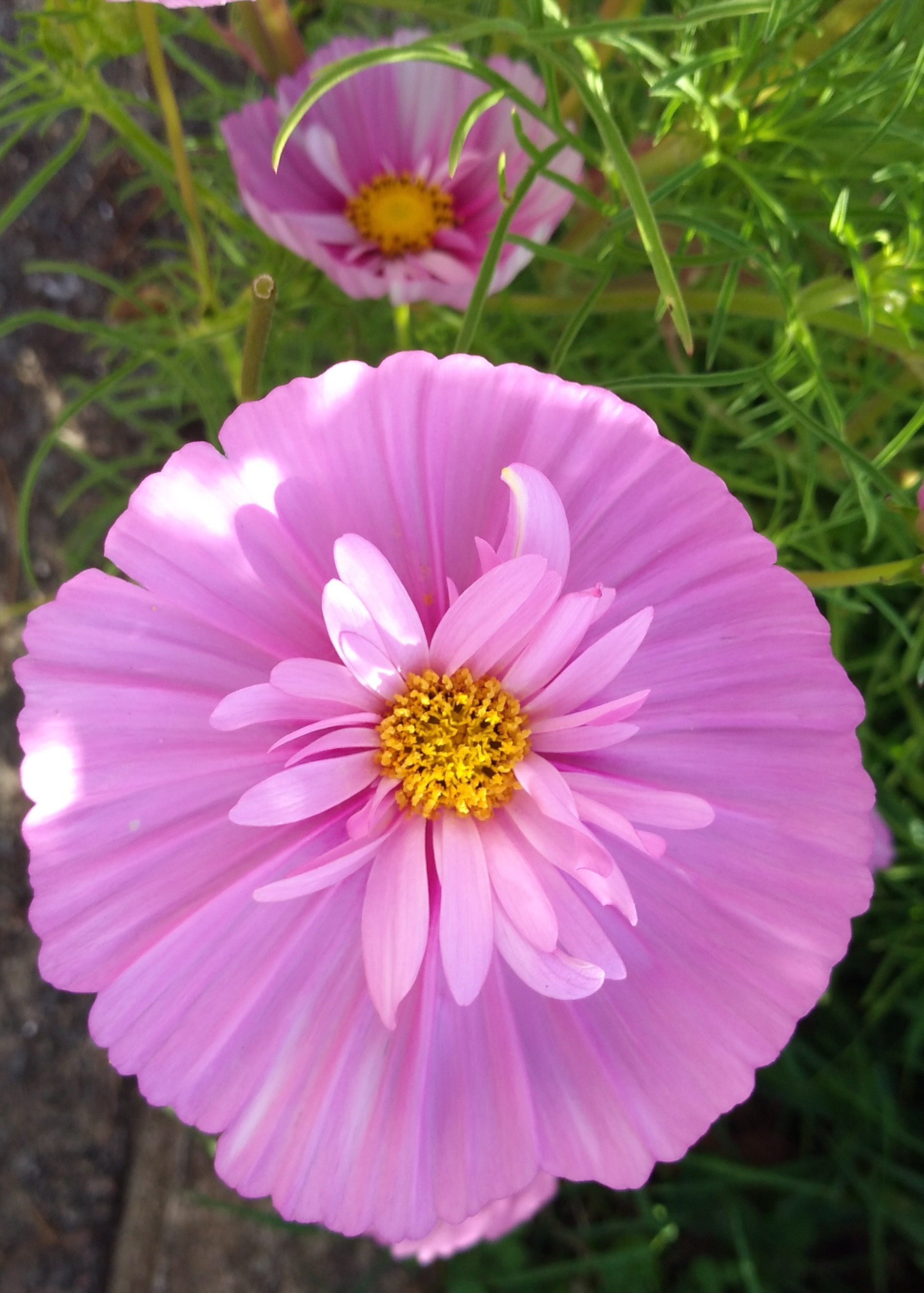 Annexe Arcachon 2.jpg