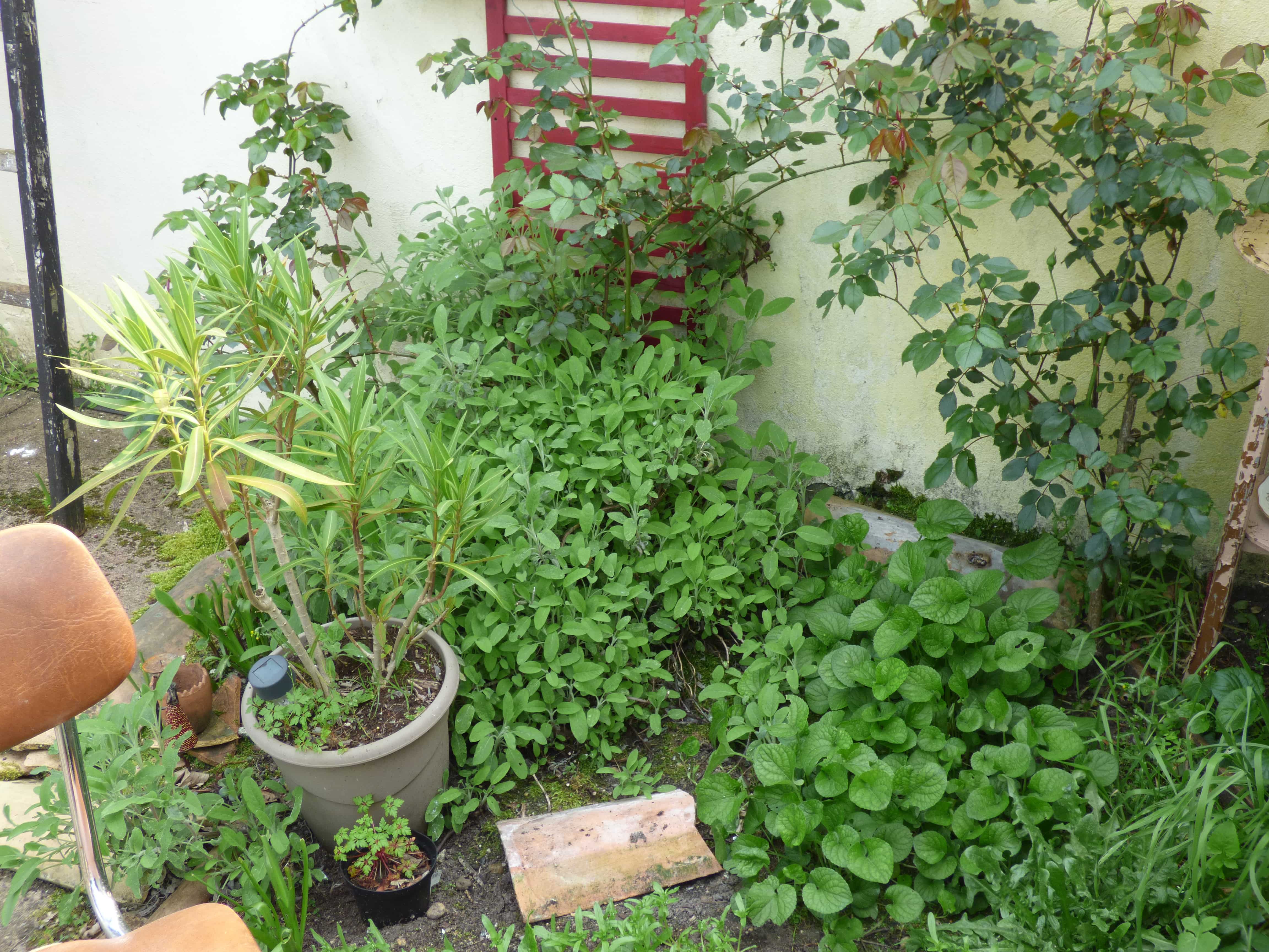 Annexe P1010950-min.JPG