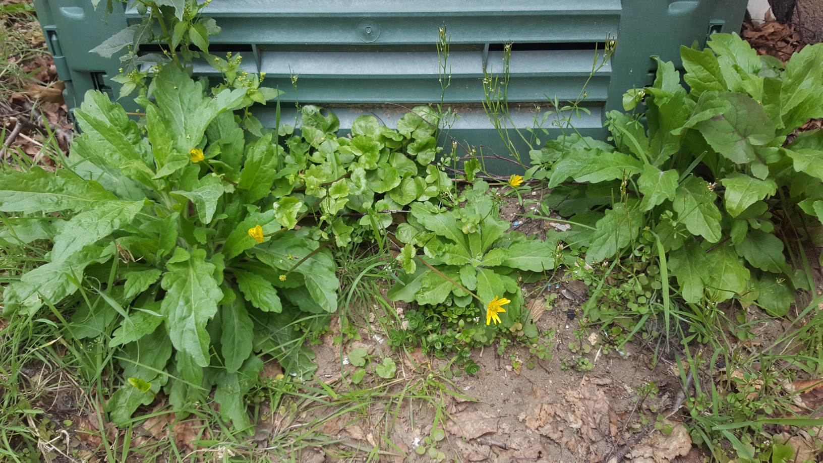 Annexe 20200329_131450_resized.jpg