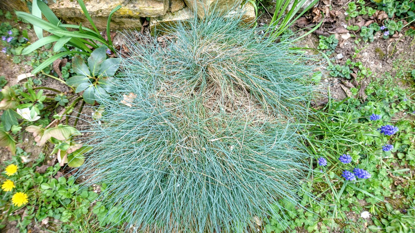 Annexe DSC_5088~2.JPG