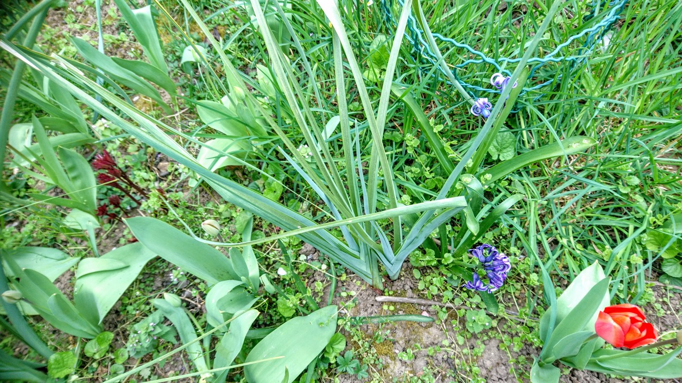 Annexe DSC_5091~3.JPG