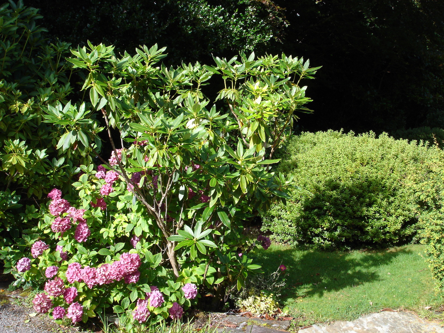 Annexe Photo 125 - copie.jpg