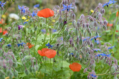 Annexe 49444924863_92f4baa1e6_w.jpg