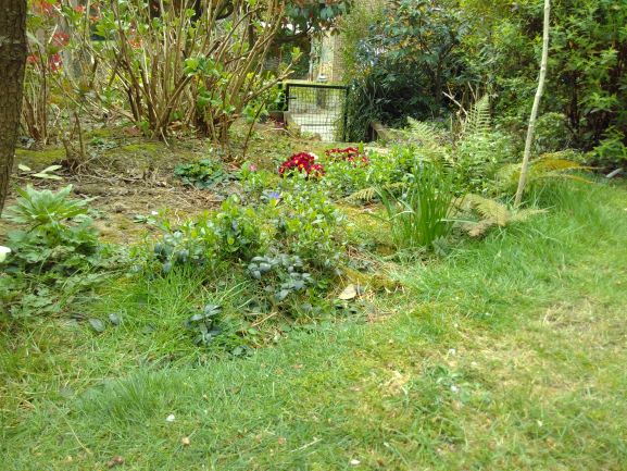 Annexe IMG_20200329_132037 R biodiversité jardin Bruxelles.jpg