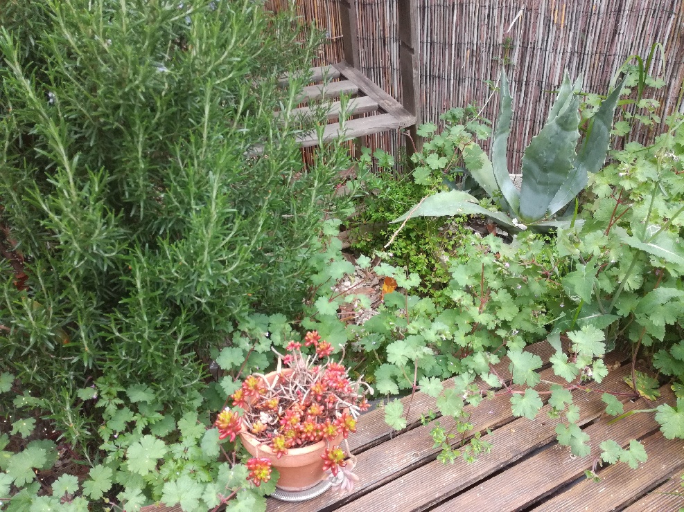 Annexe Attach14647_20200329_171134.jpg