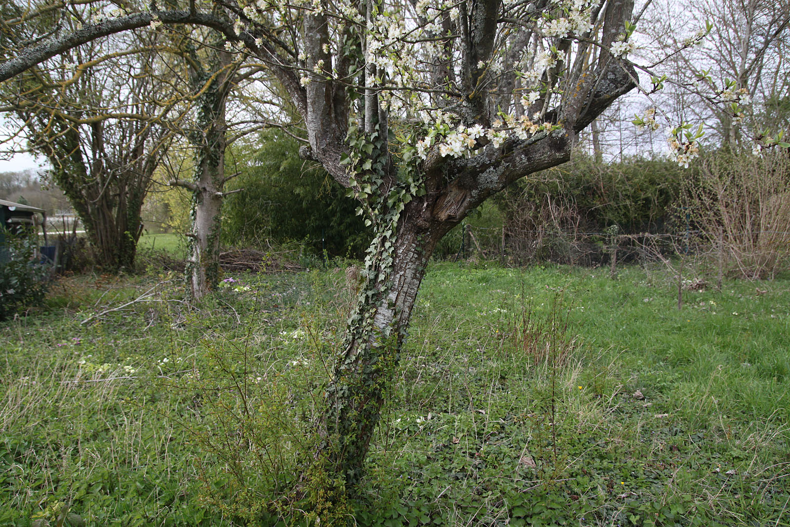 Annexe IMG_5624_1.jpg