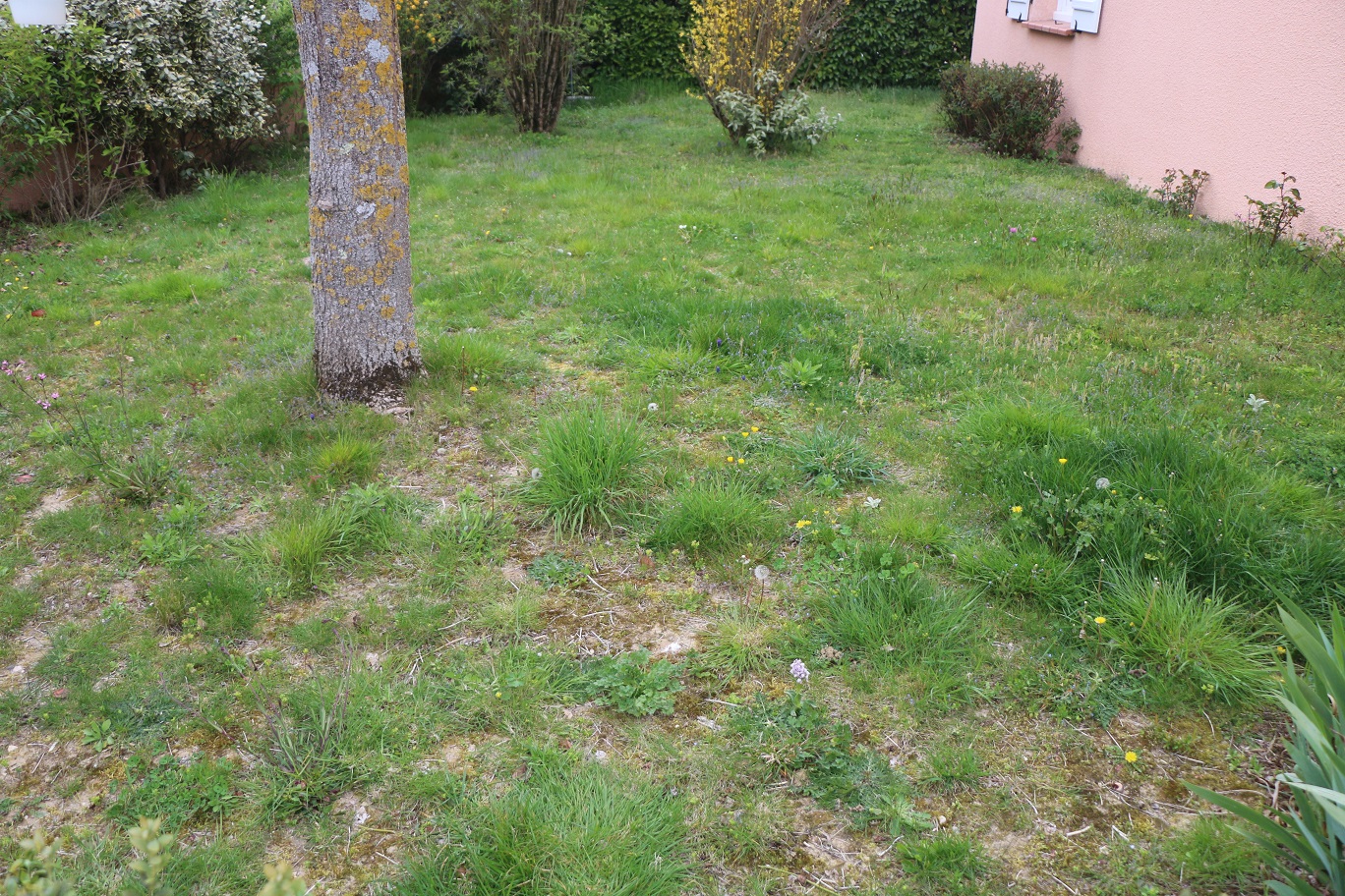 Annexe IMG_3611_medium.jpg