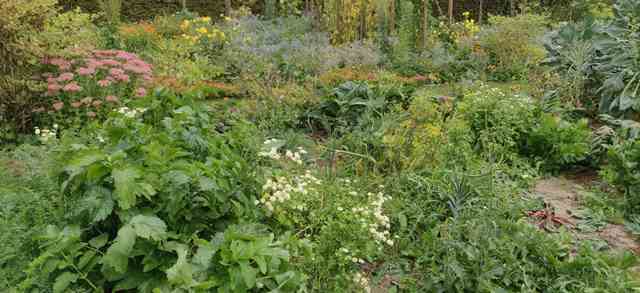 Annexe IMG_20190916_161046R.jpg