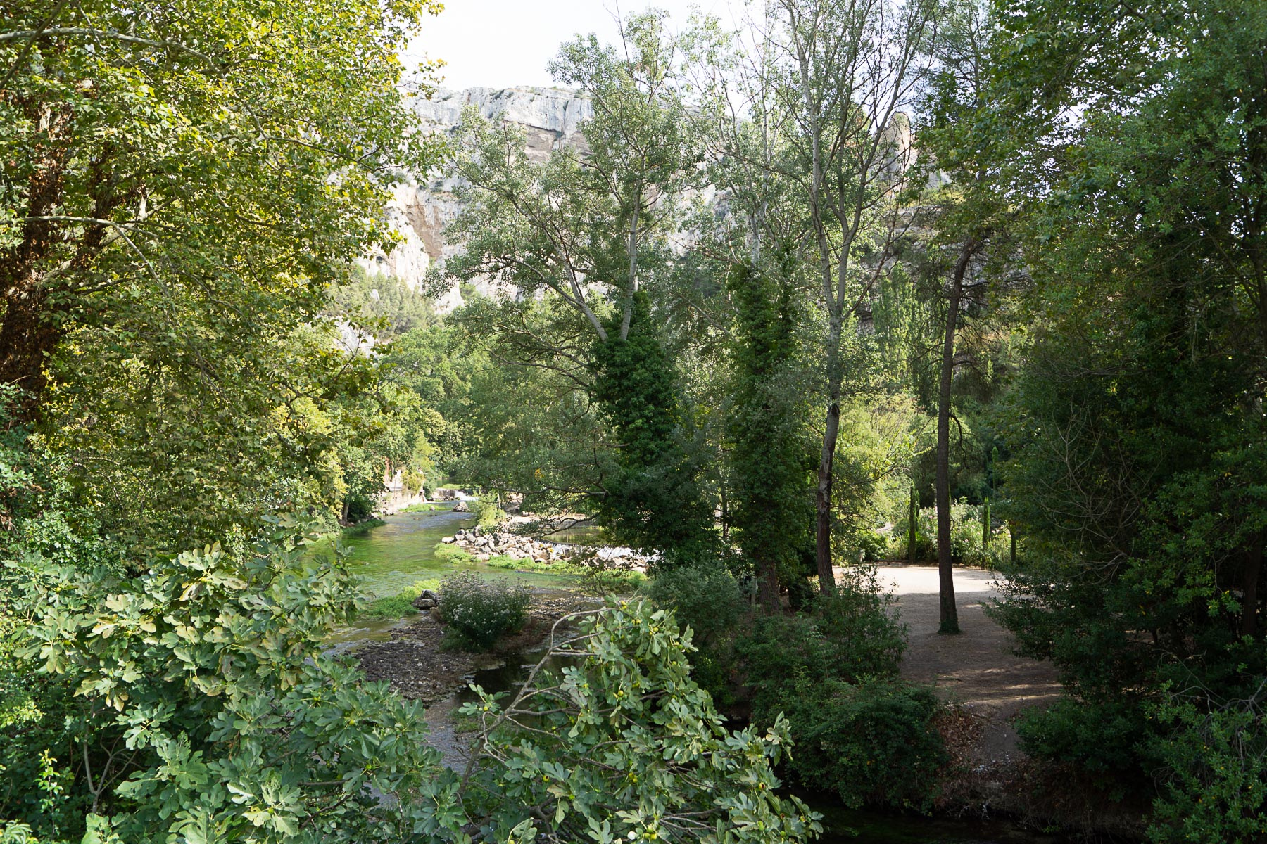 Annexe diversité.jpg