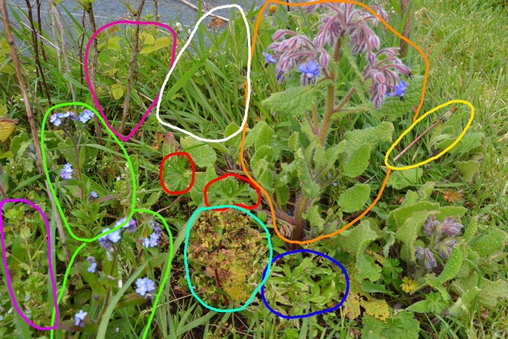 Annexe DSC_0228-tour.JPG