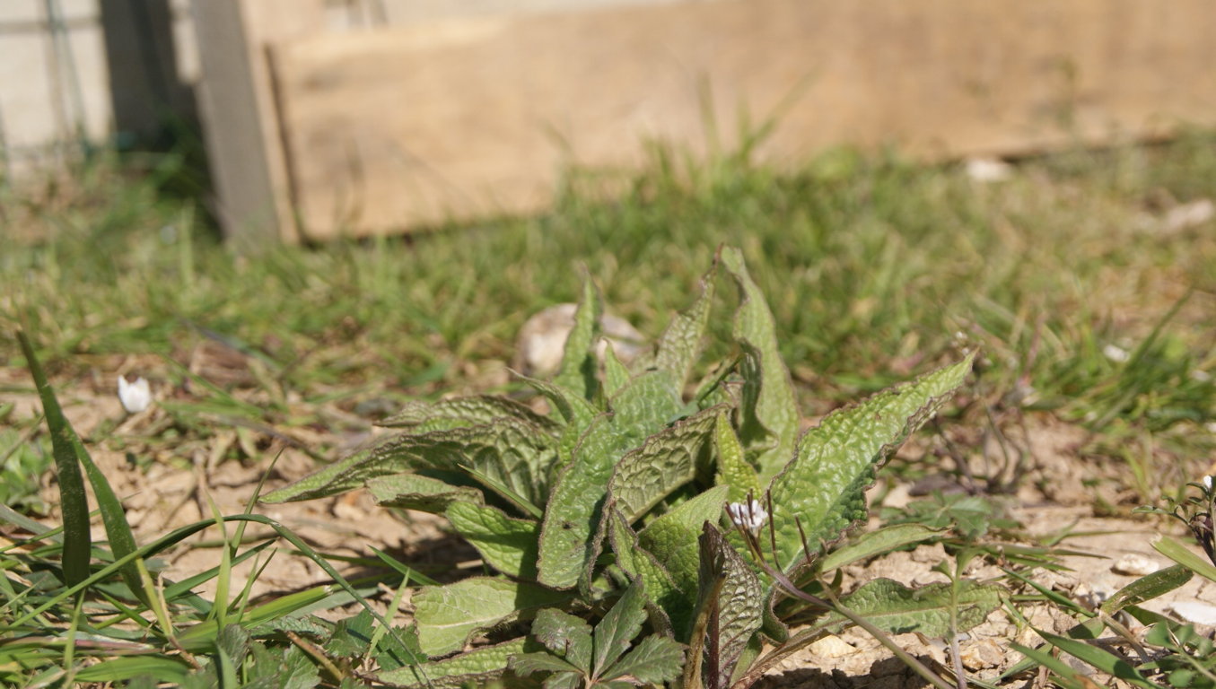 Annexe A déterminer