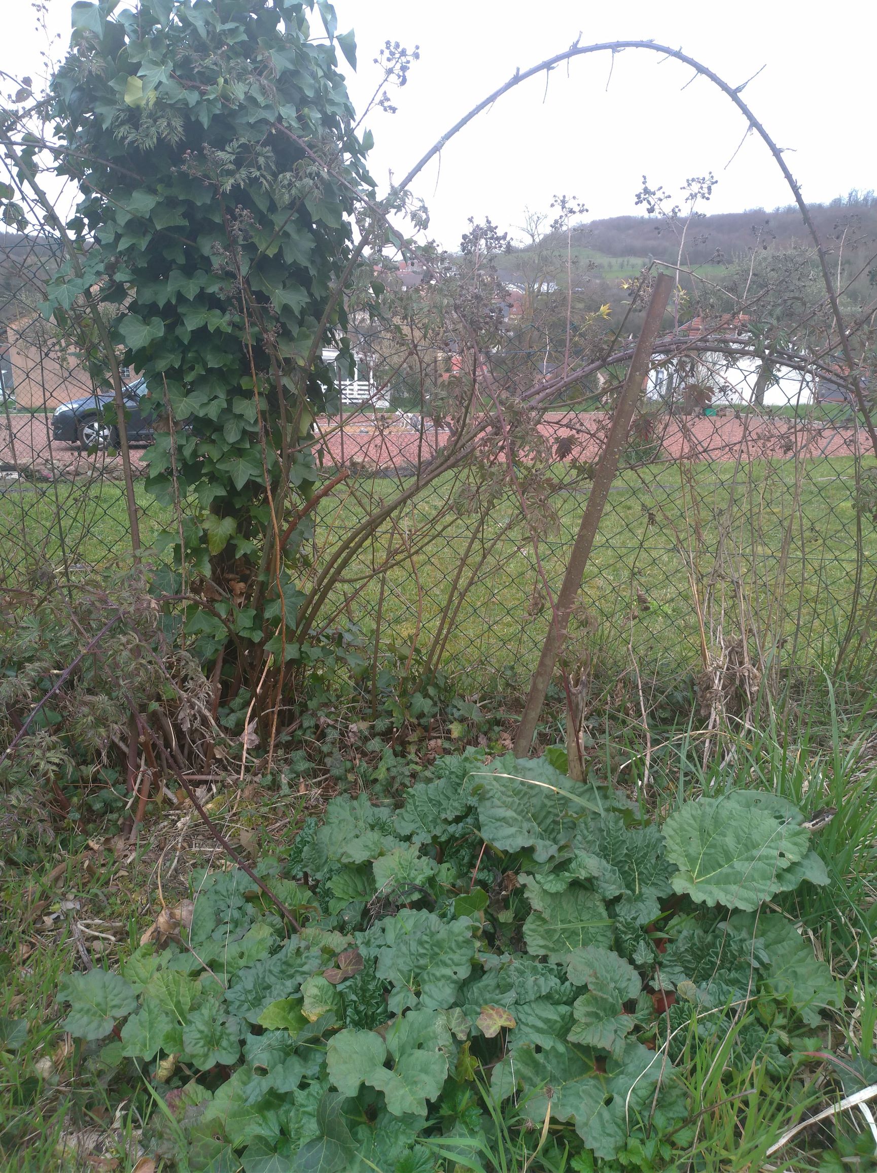 Annexe 91540834_3441505229198664_8522760560461217792_n (1).jpg