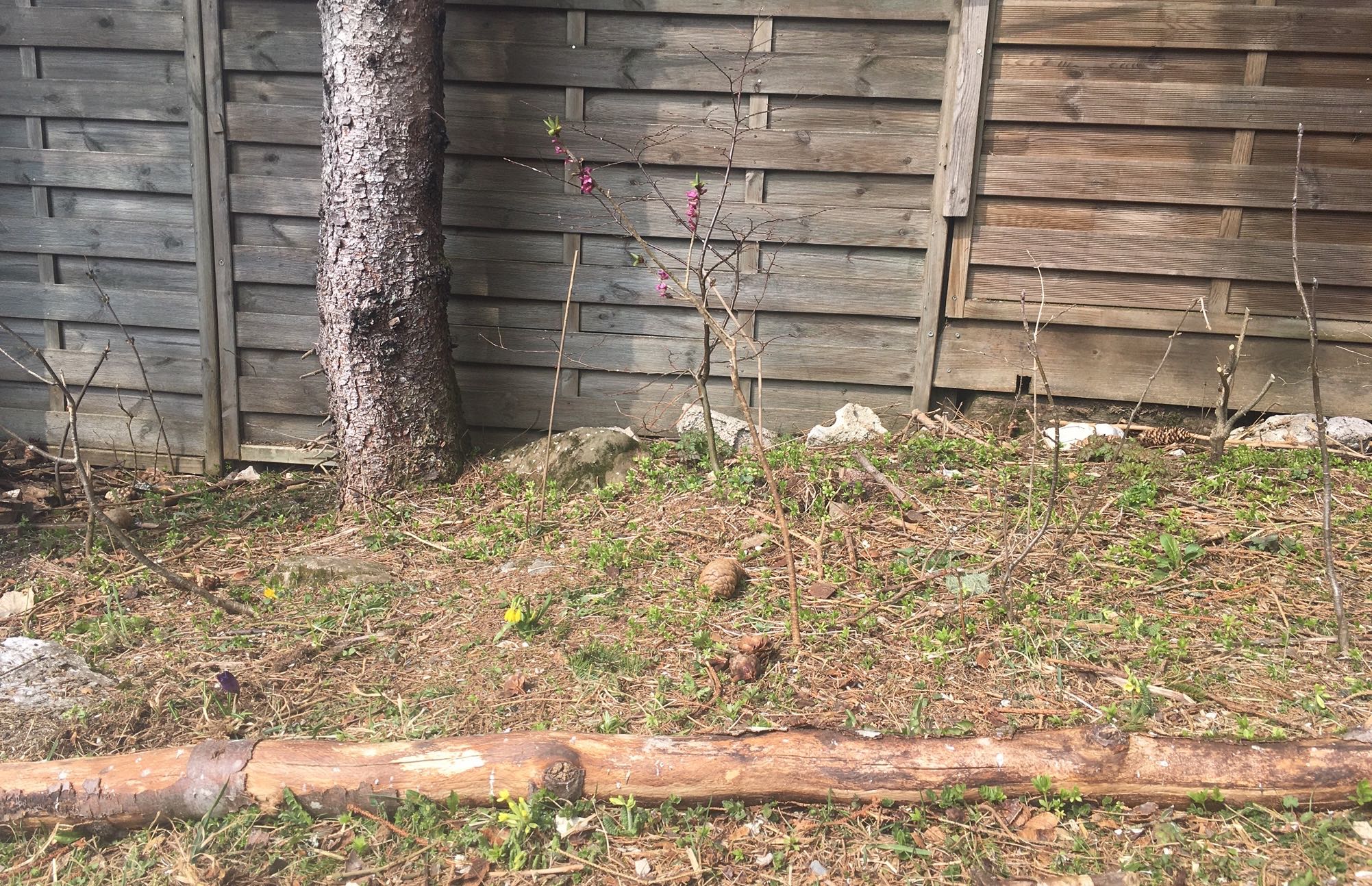 Annexe biodiversité 1.jpg