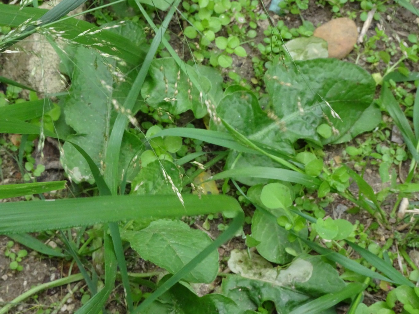 Annexe Verrerie_Arles.jpg