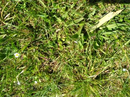 Annexe diversite 2.jpg