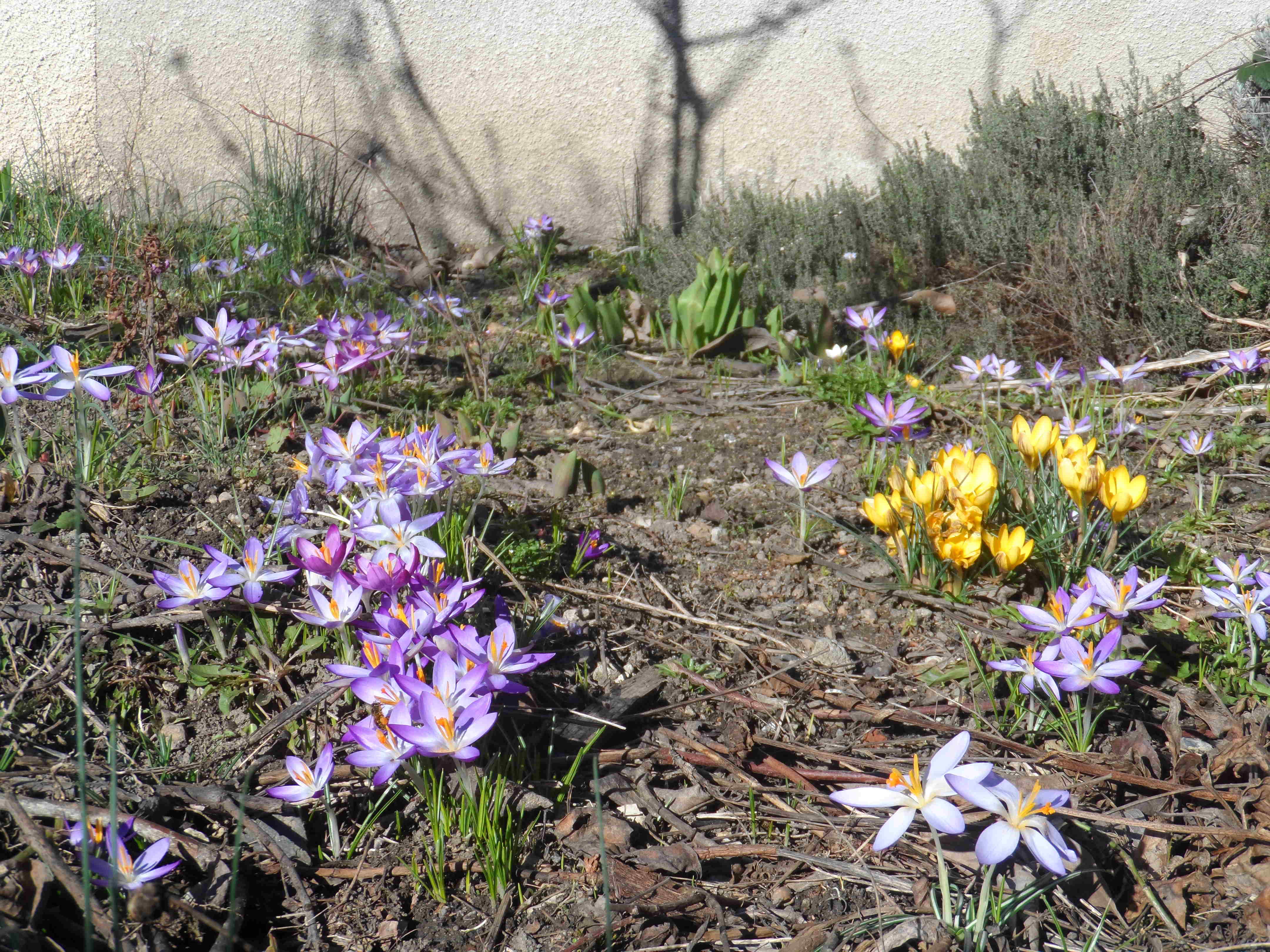 Annexe SAM_2962-ConvertImage(1).jpg