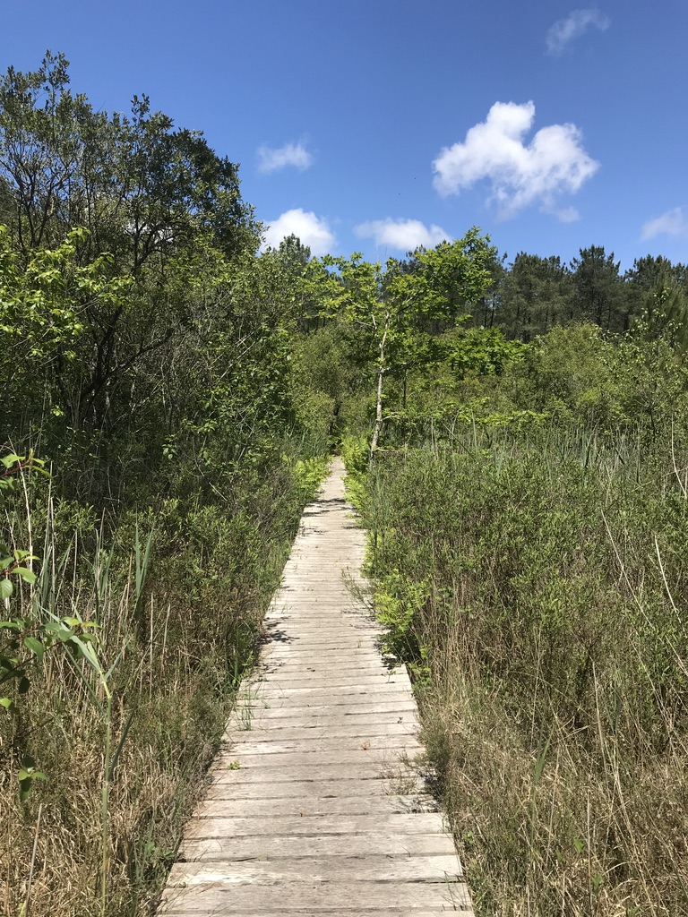 Annexe D389A92A-0C4F-498A-A9EA-37417F6C3D82_1_105_c.jpeg