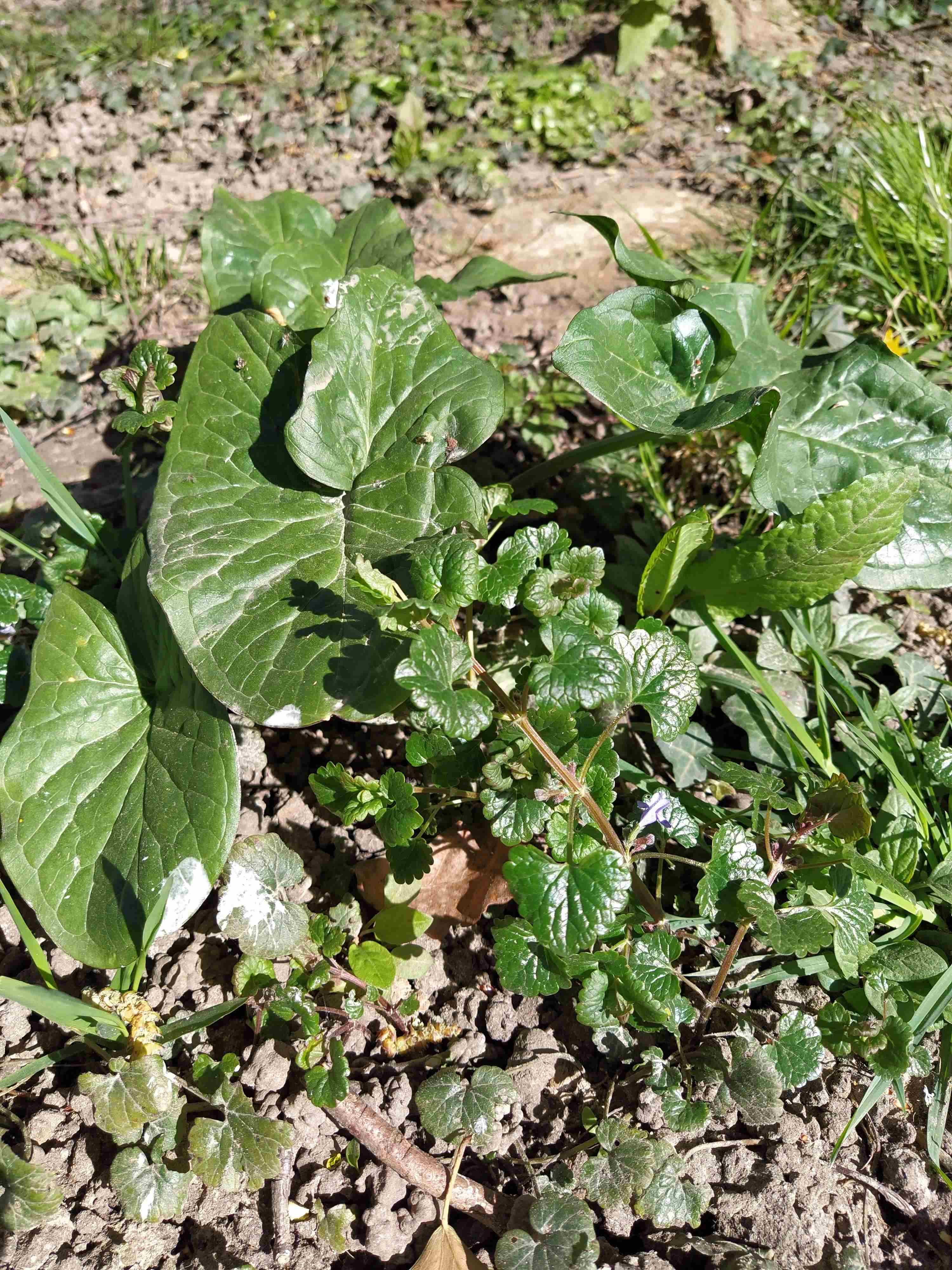 Annexe _IMG_000000_000000 (5).jpg