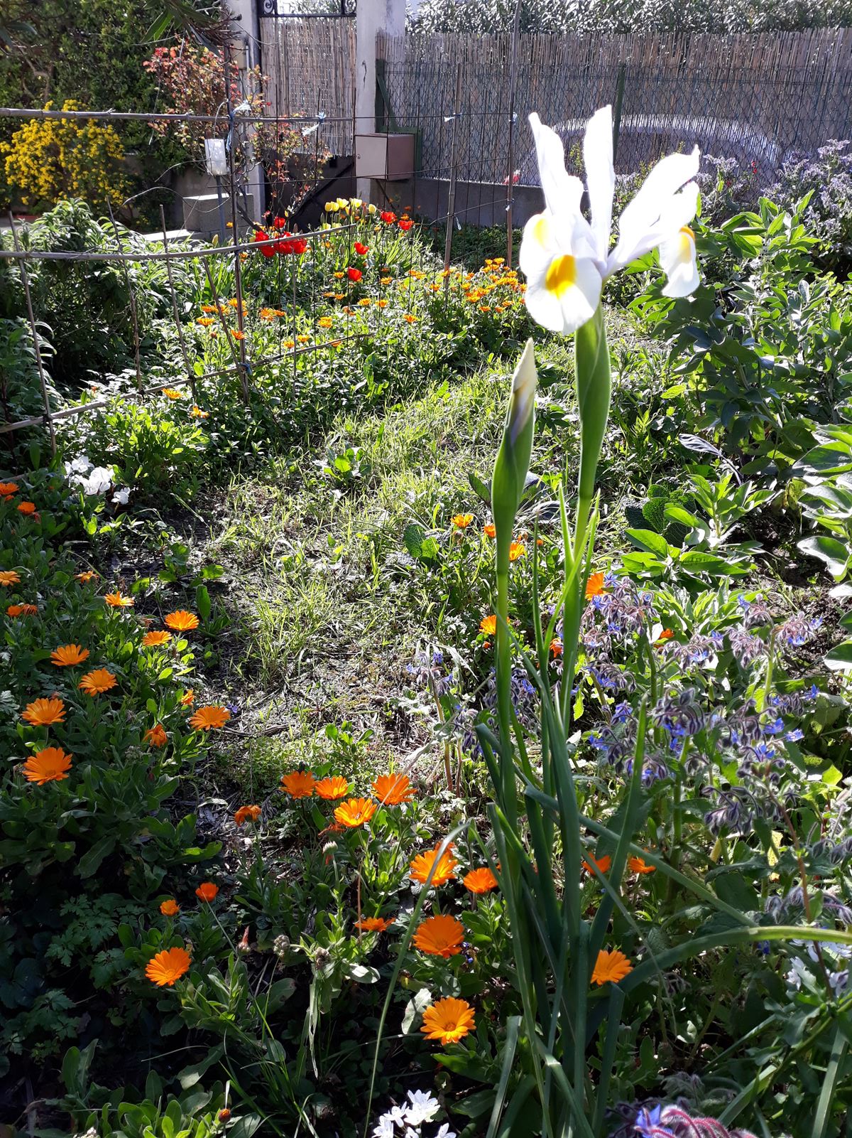 Annexe Diversité.jpg