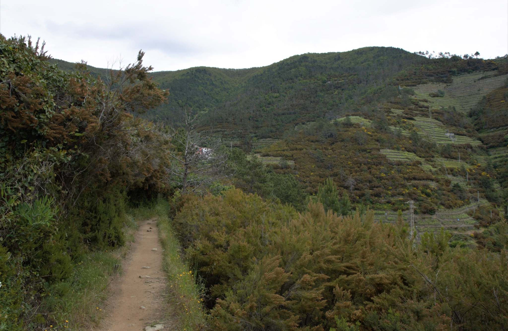 Annexe 62227943_467413220660254_5246292592034840576_n[1].jpg