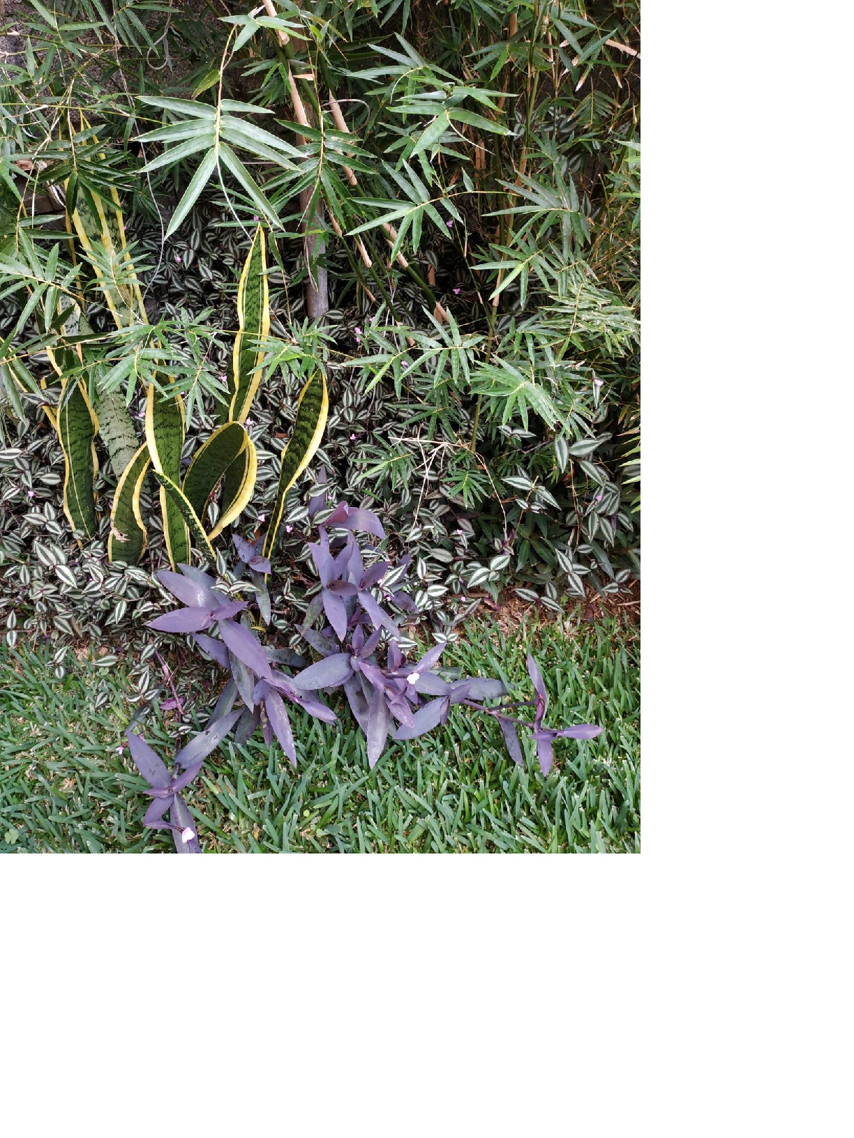 Annexe Biodiversité.jpg