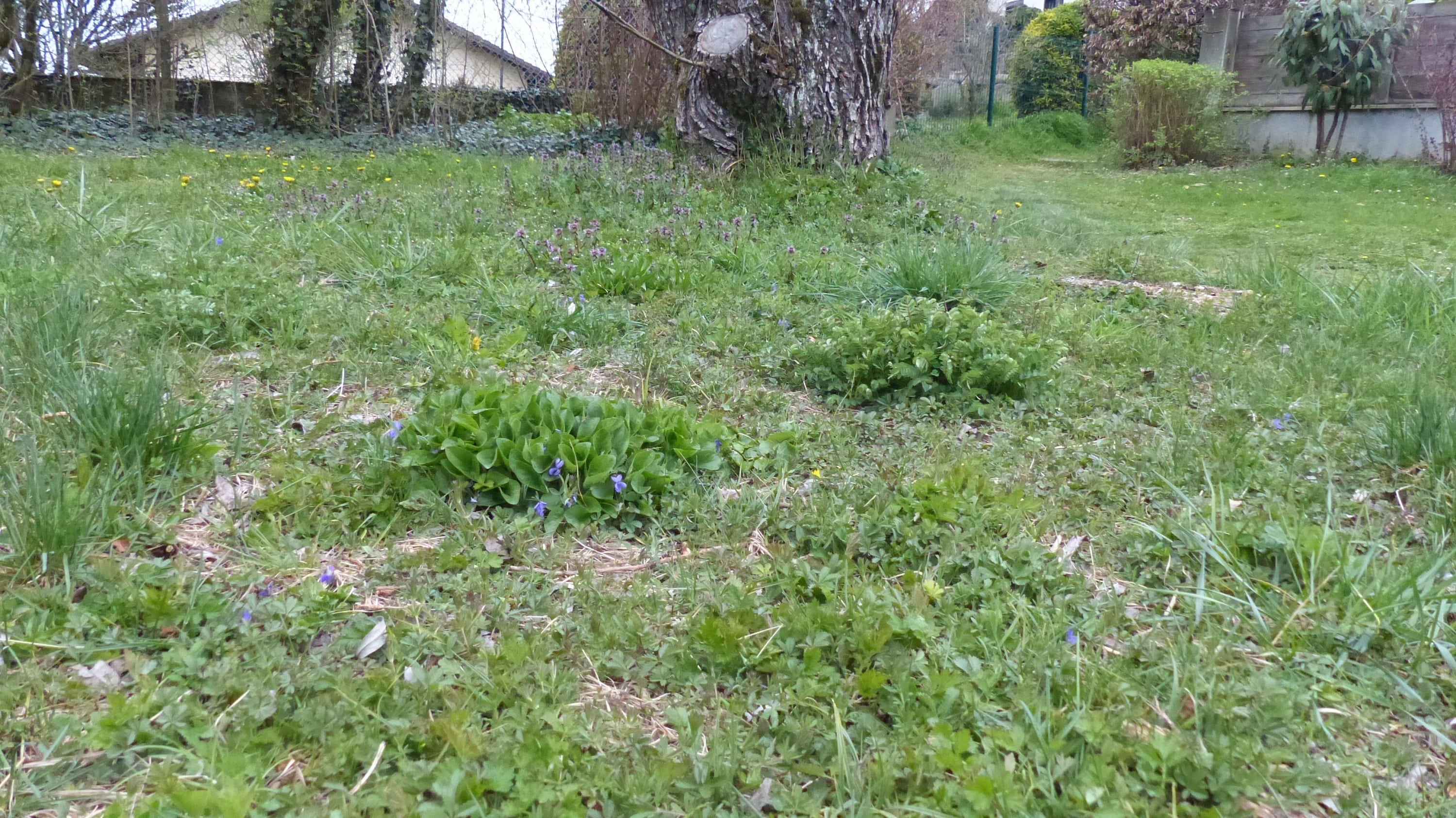 Annexe 2020.03.29_pre_vassy.jpg