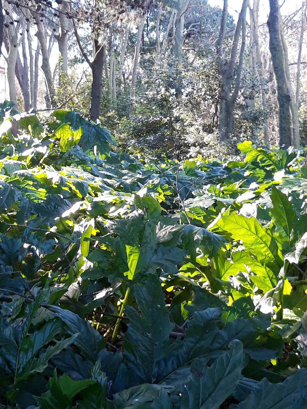 Annexe 20200205_151640.jpg