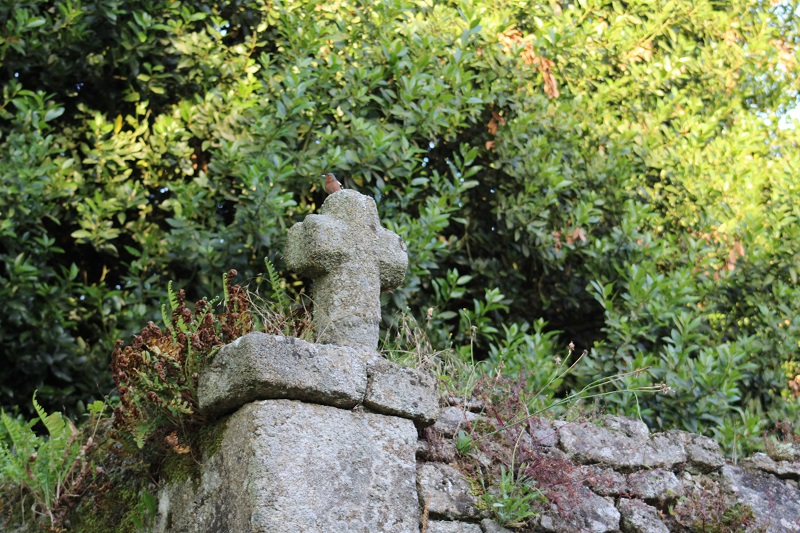 Annexe Biodiversite Tiercent.JPG