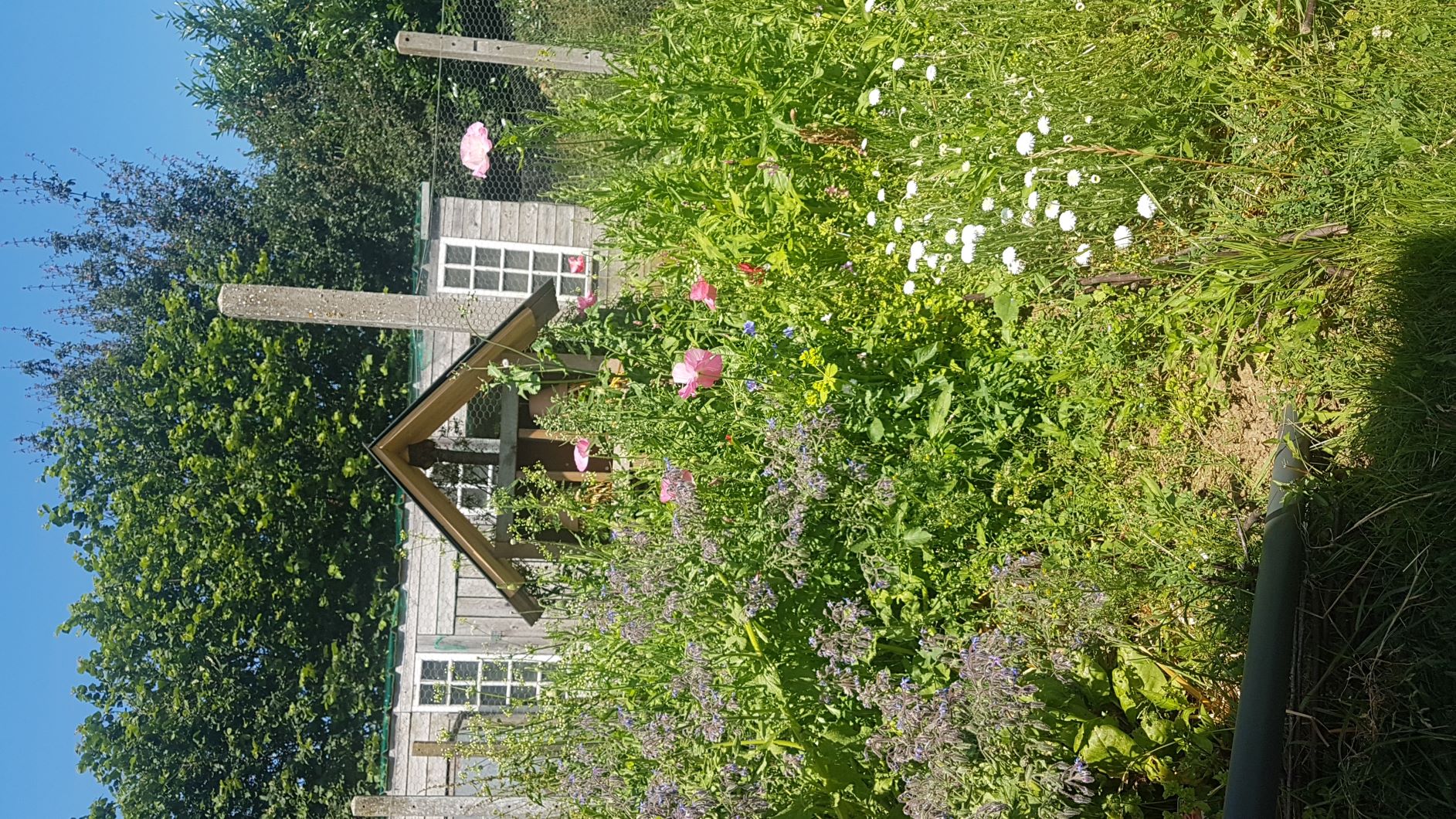 Annexe IMG_20190706_142056.jpg