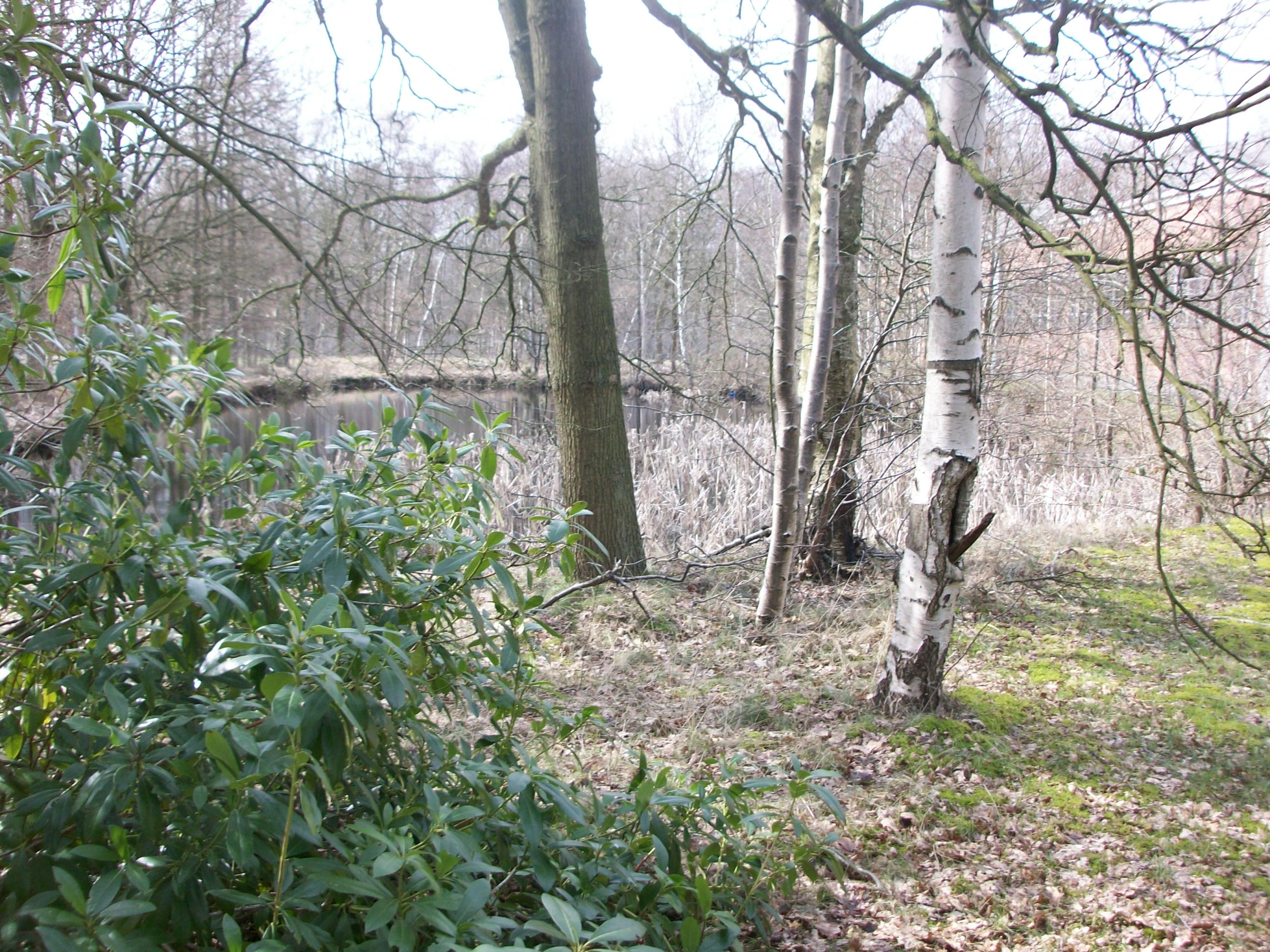 Annexe 100_3732 (2).JPG