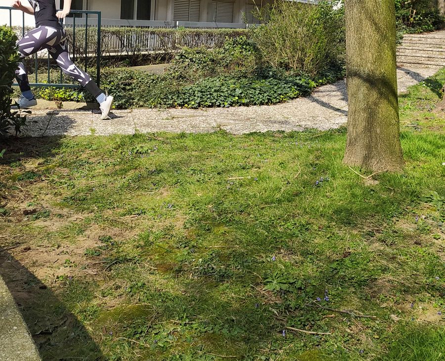 Annexe IMG_20200330_150311.jpg