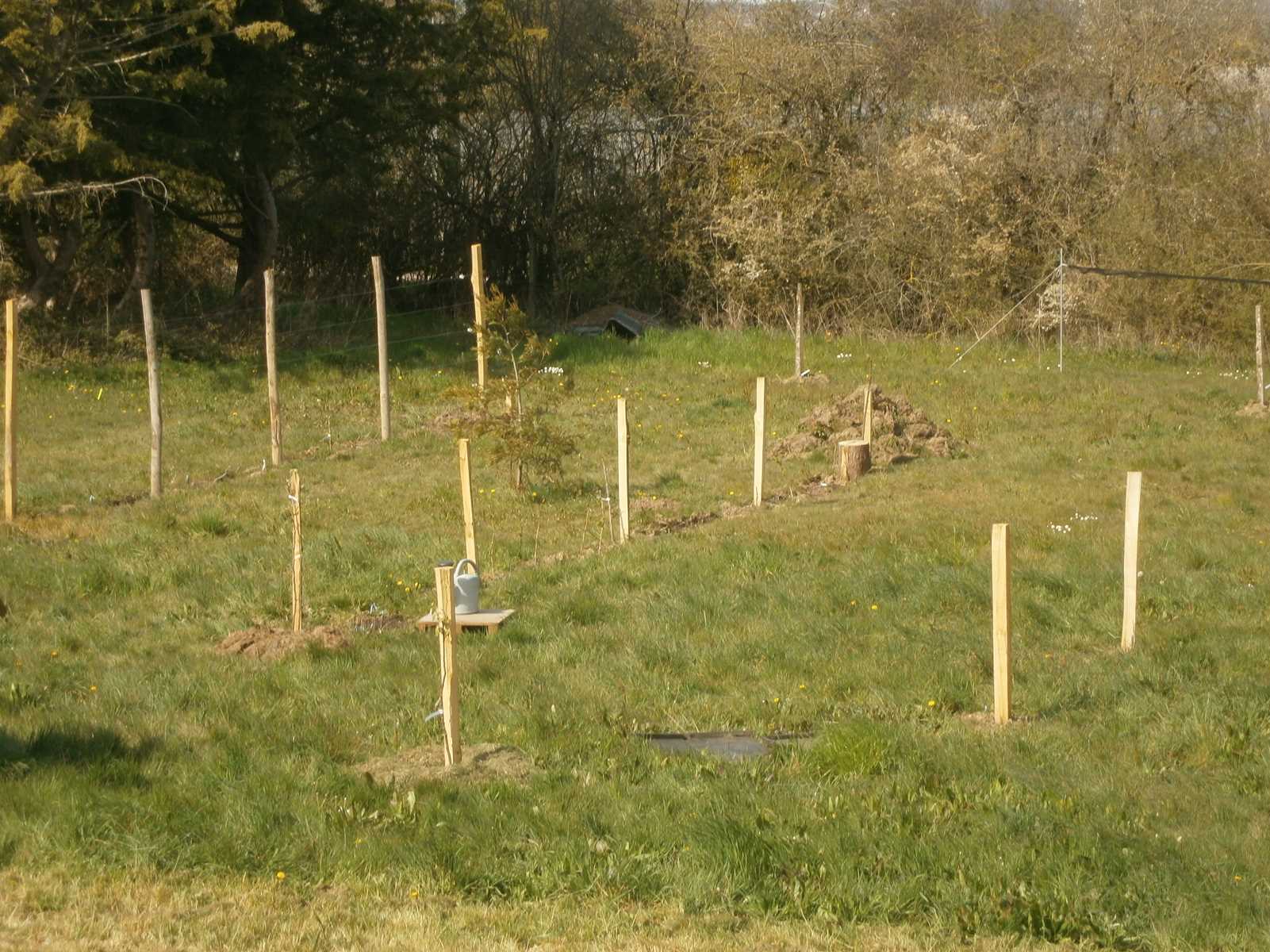 Annexe _copie-0_P3300001.jpg