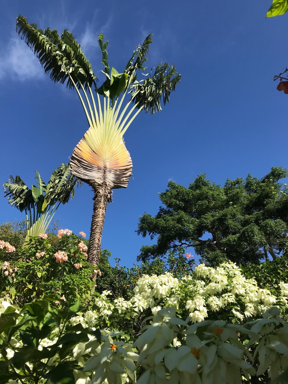 Annexe IMG-20180813-WA0006.jpg