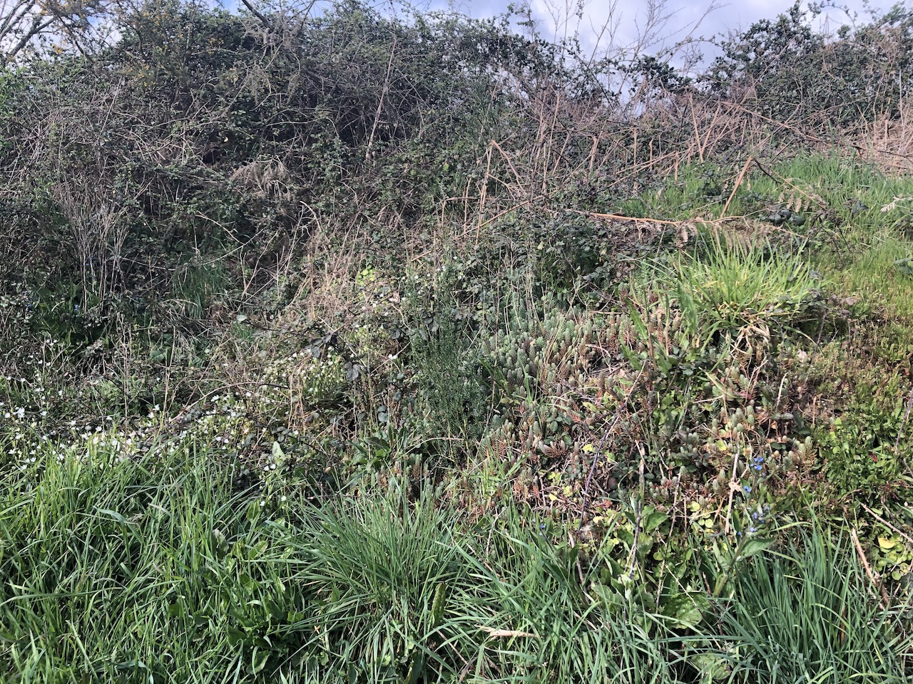 Annexe IMG_0109 - copie.jpg