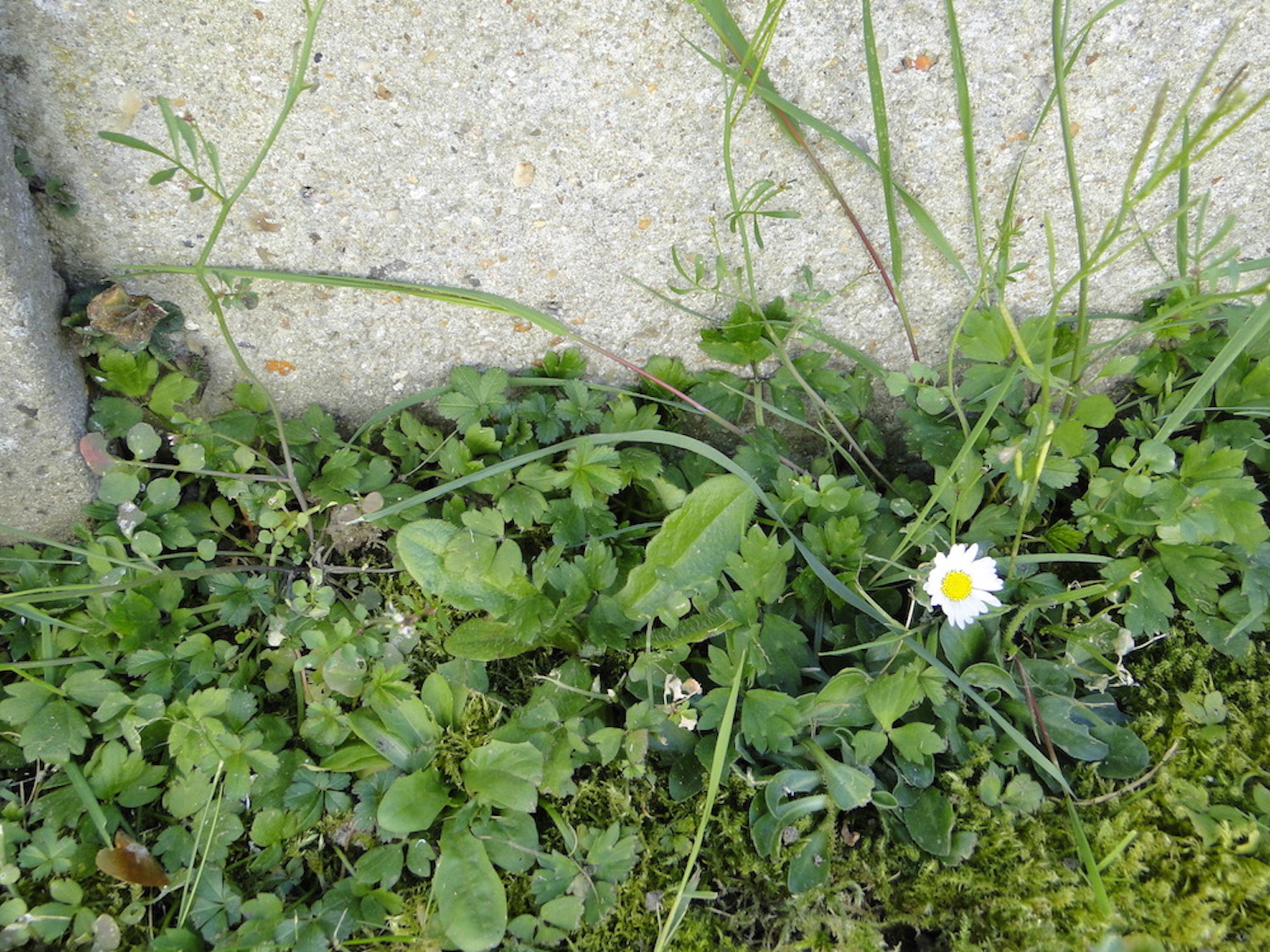 Annexe MOOC-01 copie.JPG