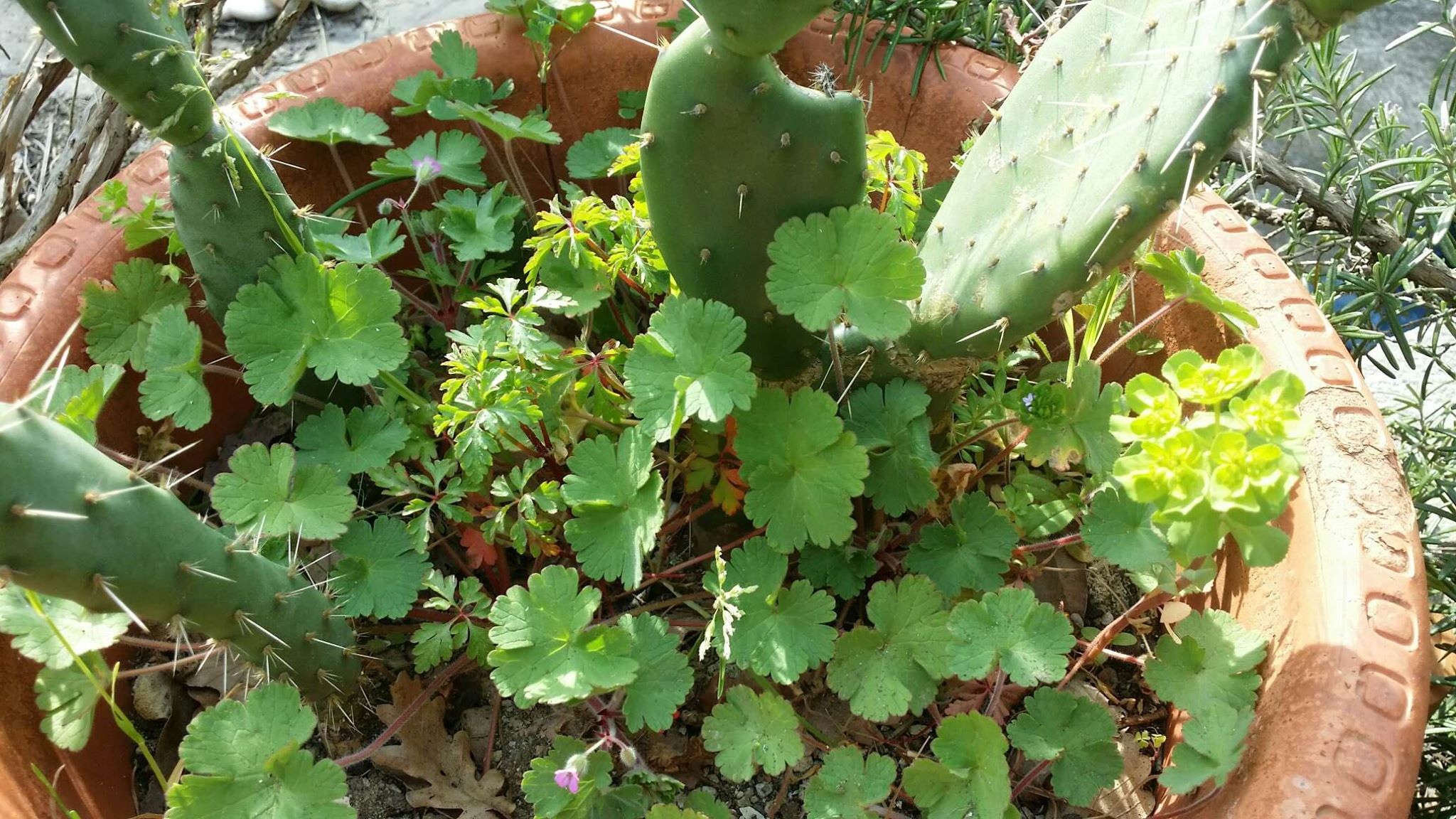 Annexe 91370720_214846383101589_8900165689017368576_n.jpg