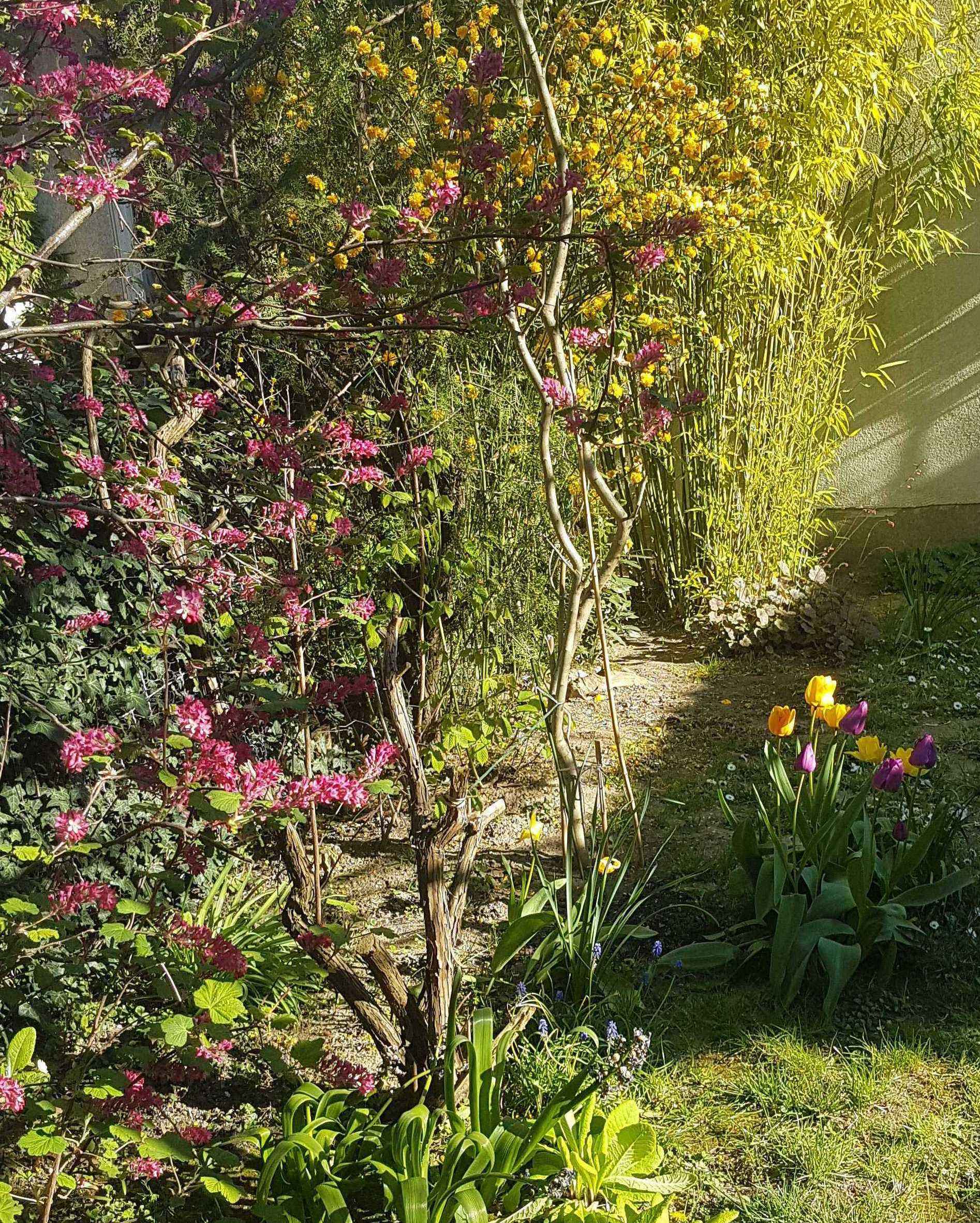 Annexe biodiversité au jardin.jpg