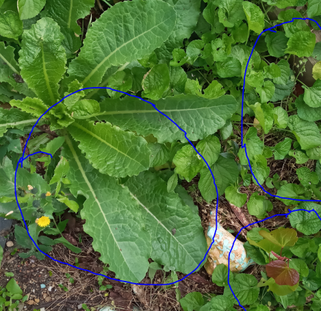 Annexe activite2bis.png