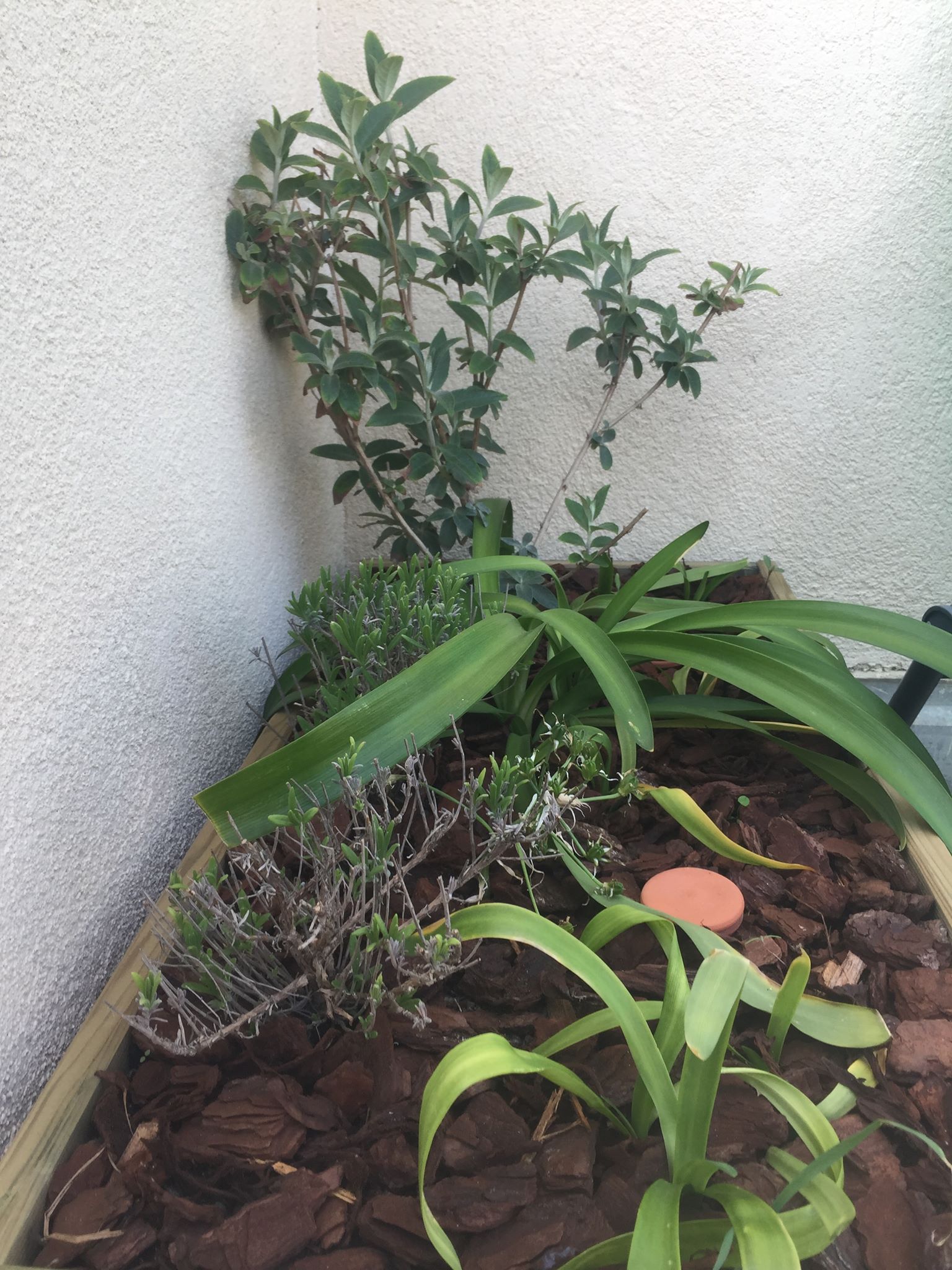 Annexe 91989570_566913100583373_1335418998635888640_n.jpg