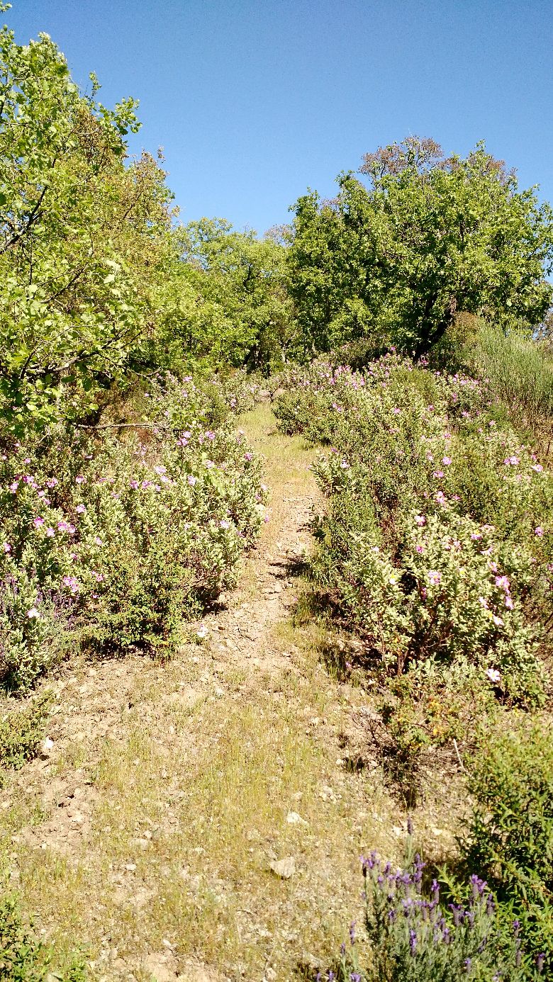 Annexe Biodiversité.jpg