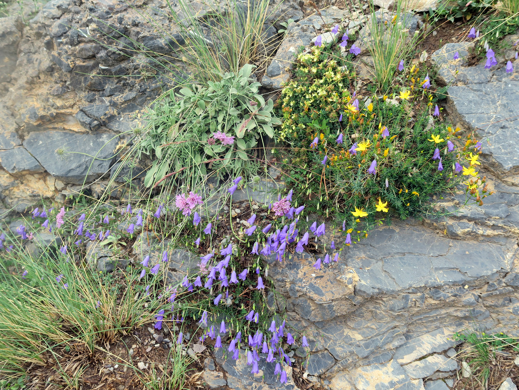 Annexe 2019-07-28_16.50.41.jpg