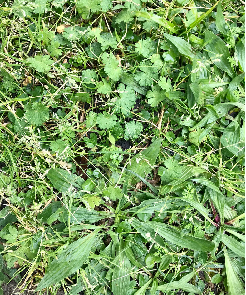 Annexe Capture-d’écran-2020-03-30-à-18.56.55.jpg