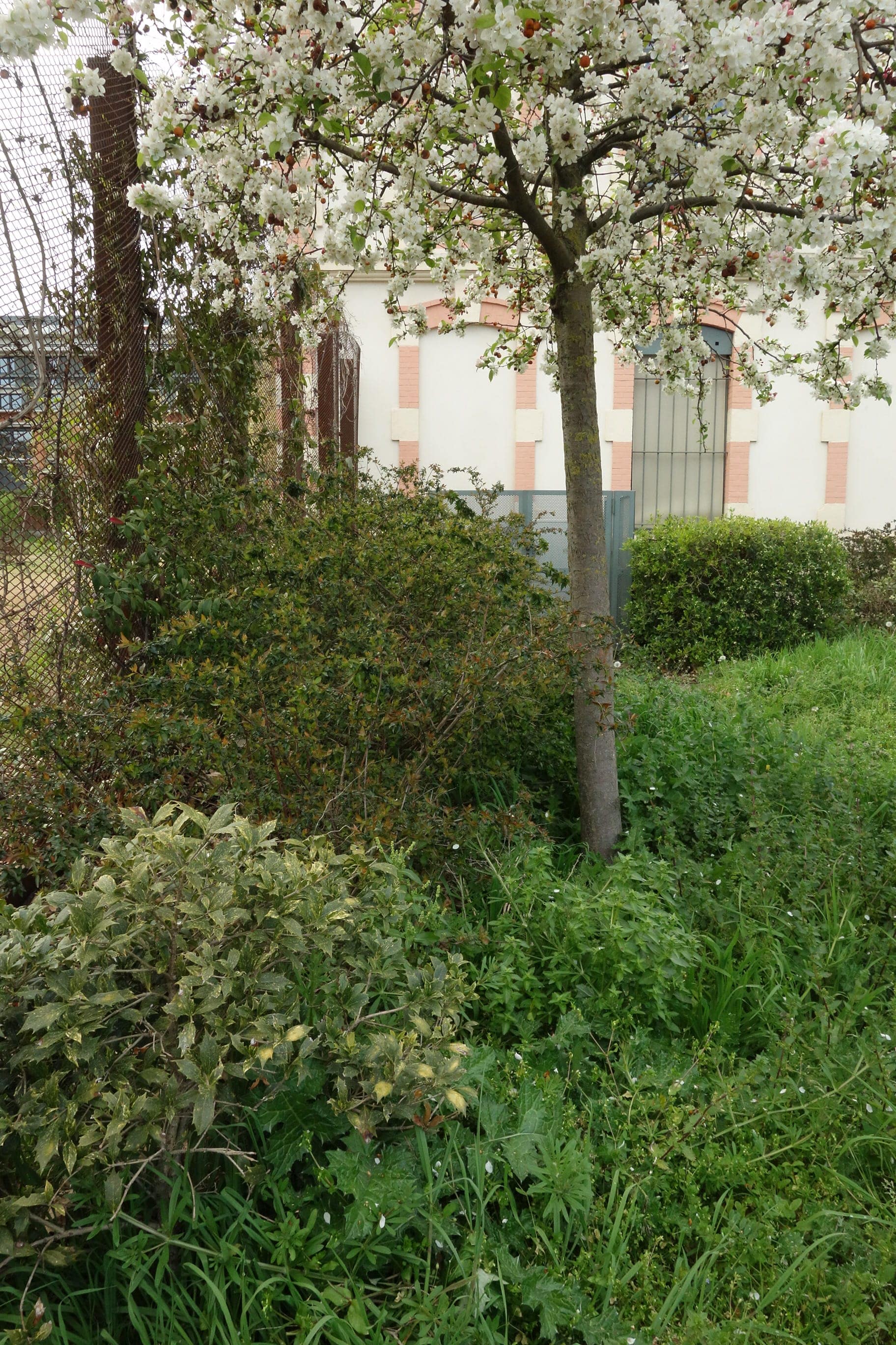 Annexe DSC00690-min-min.JPG