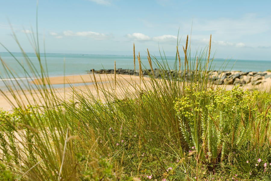 Annexe 1addeda55e70000000004774_BIG.jpg