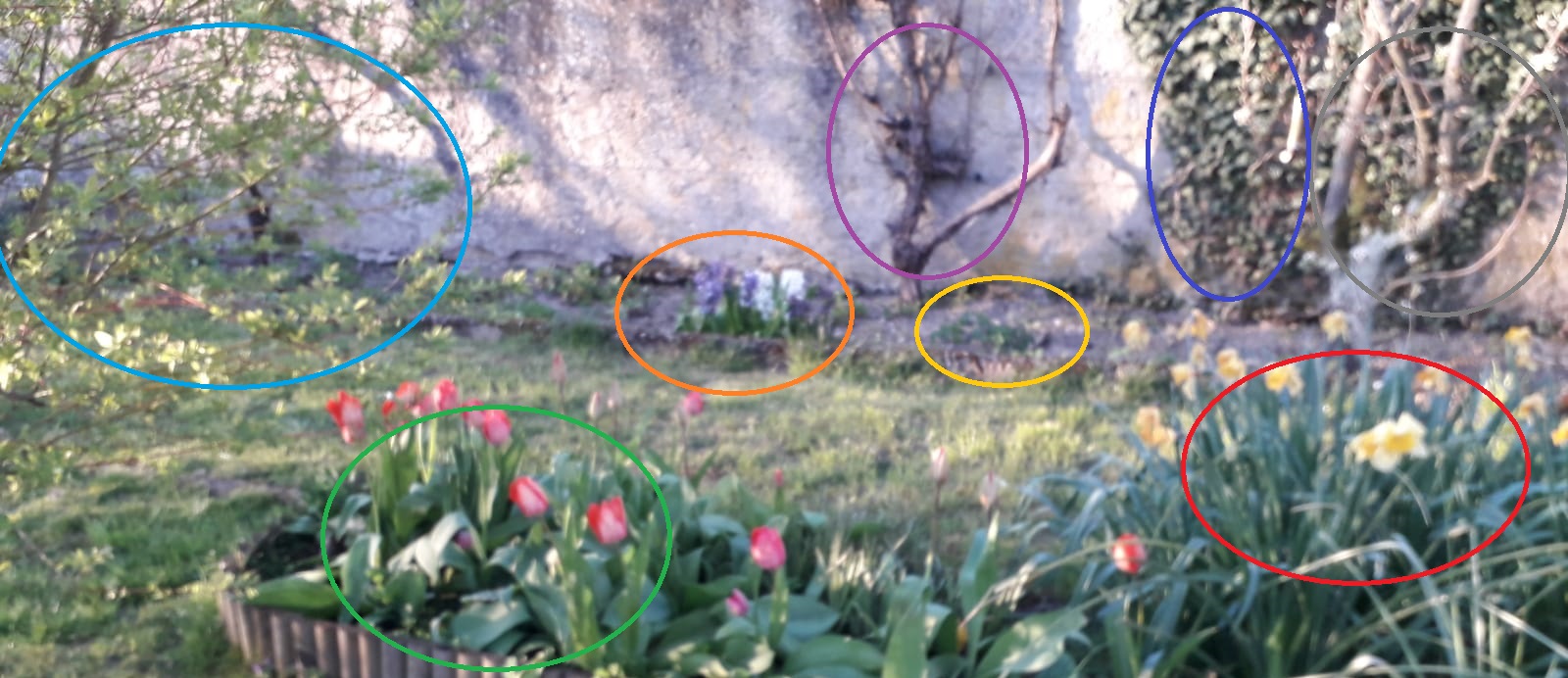 Annexe 52a6fa66-c4f1-4c12-b1fe-e92afeff1e7d.jpg