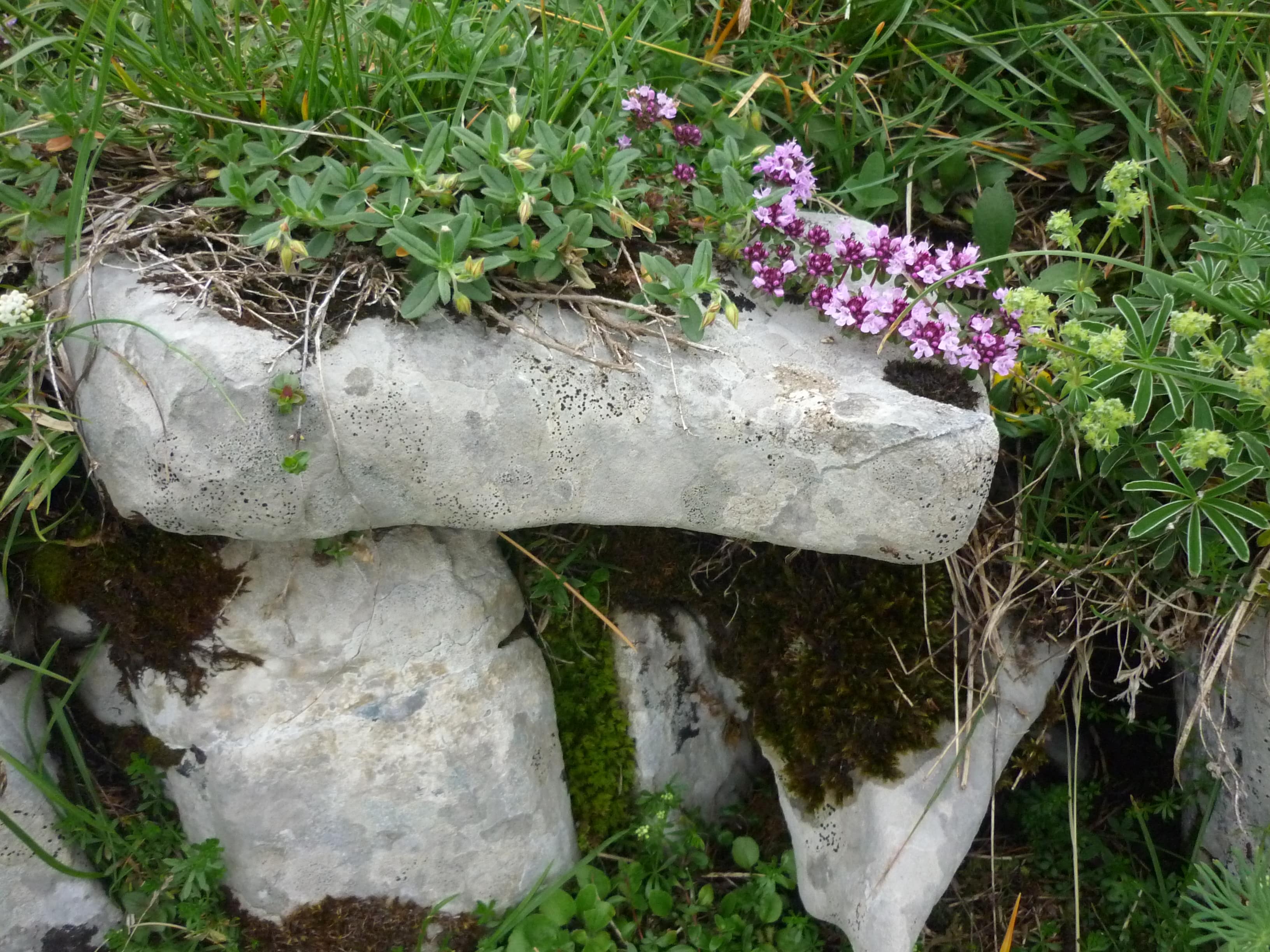 Annexe P1080240-min[1].JPG