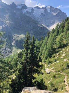 Annexe biodiversité_activité.jpg